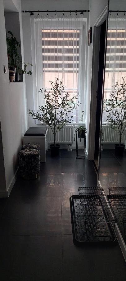 Apartamenty Magvel Szczecin Bagian luar foto