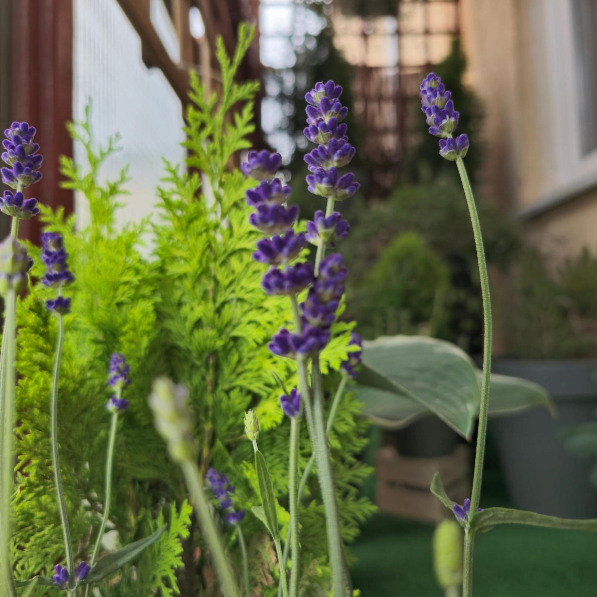 Apartamenty Magvel Szczecin Bagian luar foto